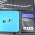 Vintage 14K Solid Gold Diamond Cut Dainty Starfish Stud Earrings