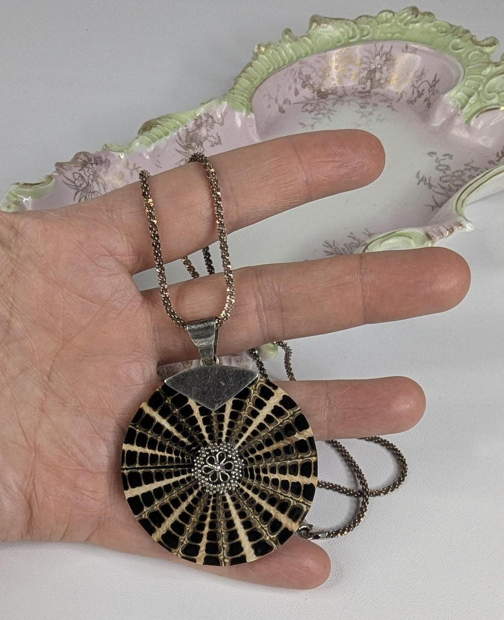 Vintage Nautilus Shell Pendant: Sterling Silver Details, 18" Rope Chain with platinum overlay