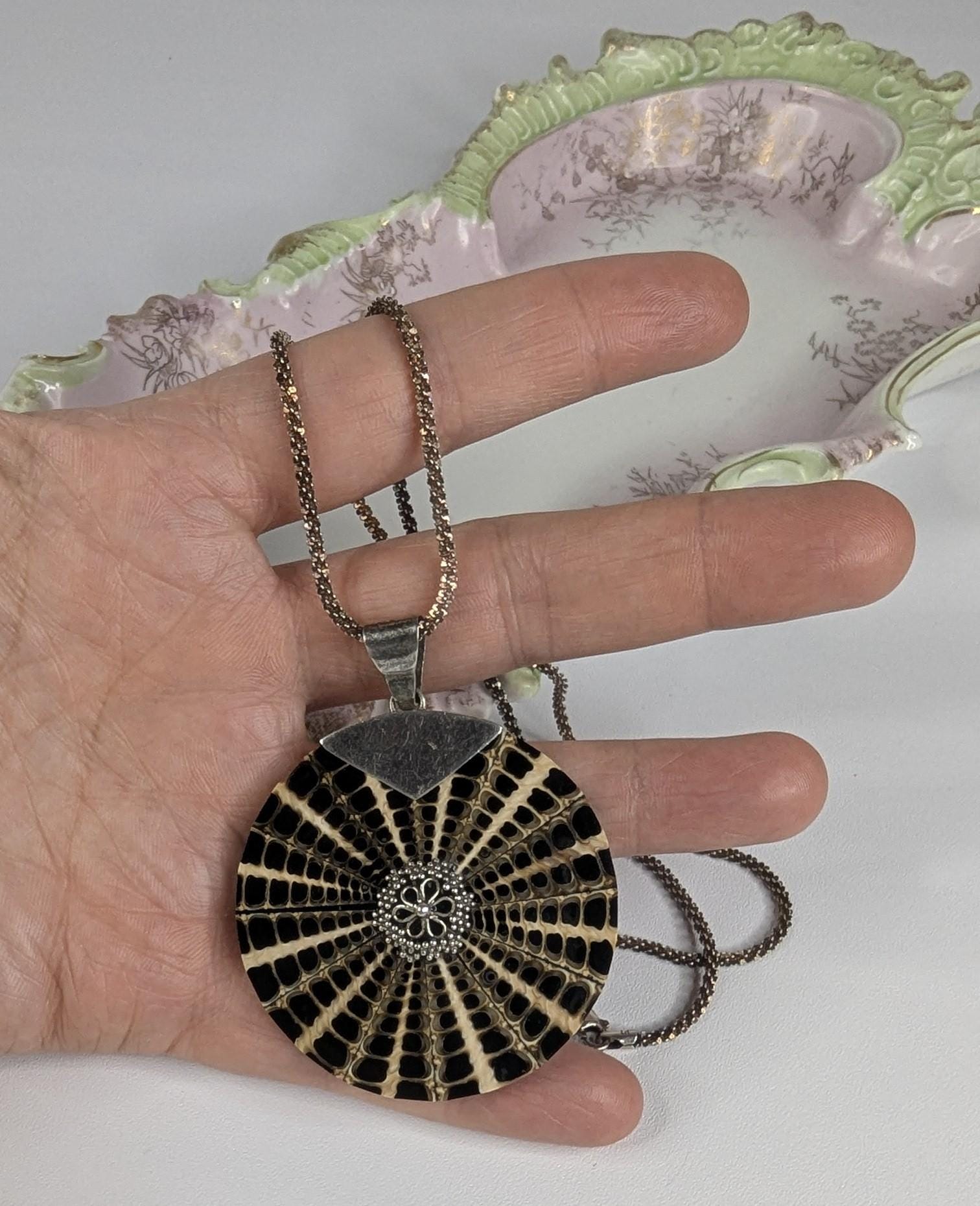 Vintage Nautilus Shell Pendant: Sterling Silver Details, 18" Rope Chain with platinum overlay
