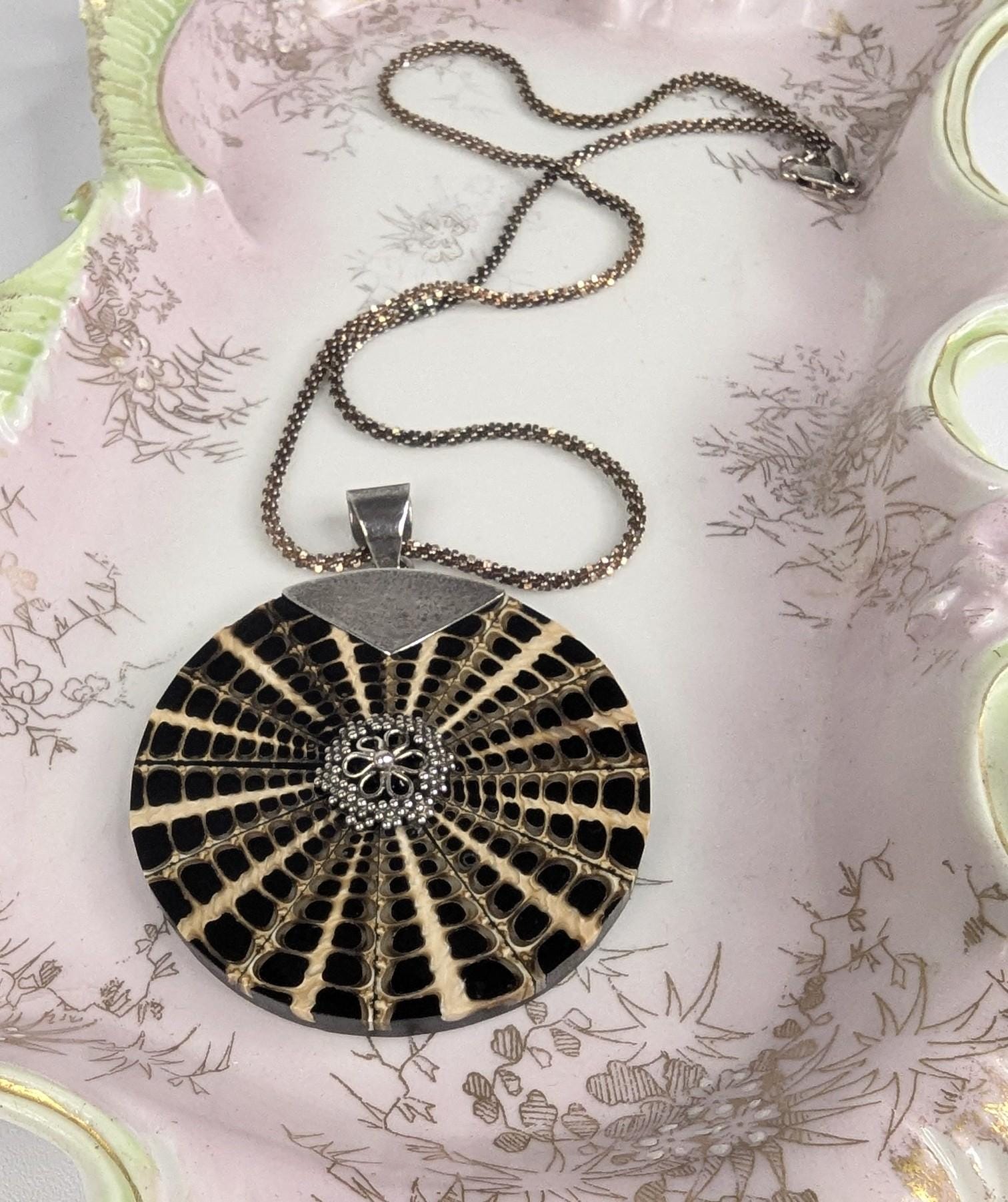Vintage Nautilus Shell Pendant: Sterling Silver Details, 18" Rope Chain with platinum overlay